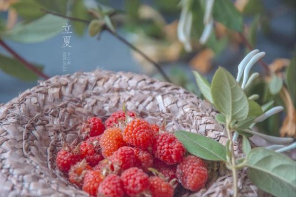 股票配资门户有哪些 5月5日立夏，老话“立夏五不吃，一年病不沾”，哪5不吃？